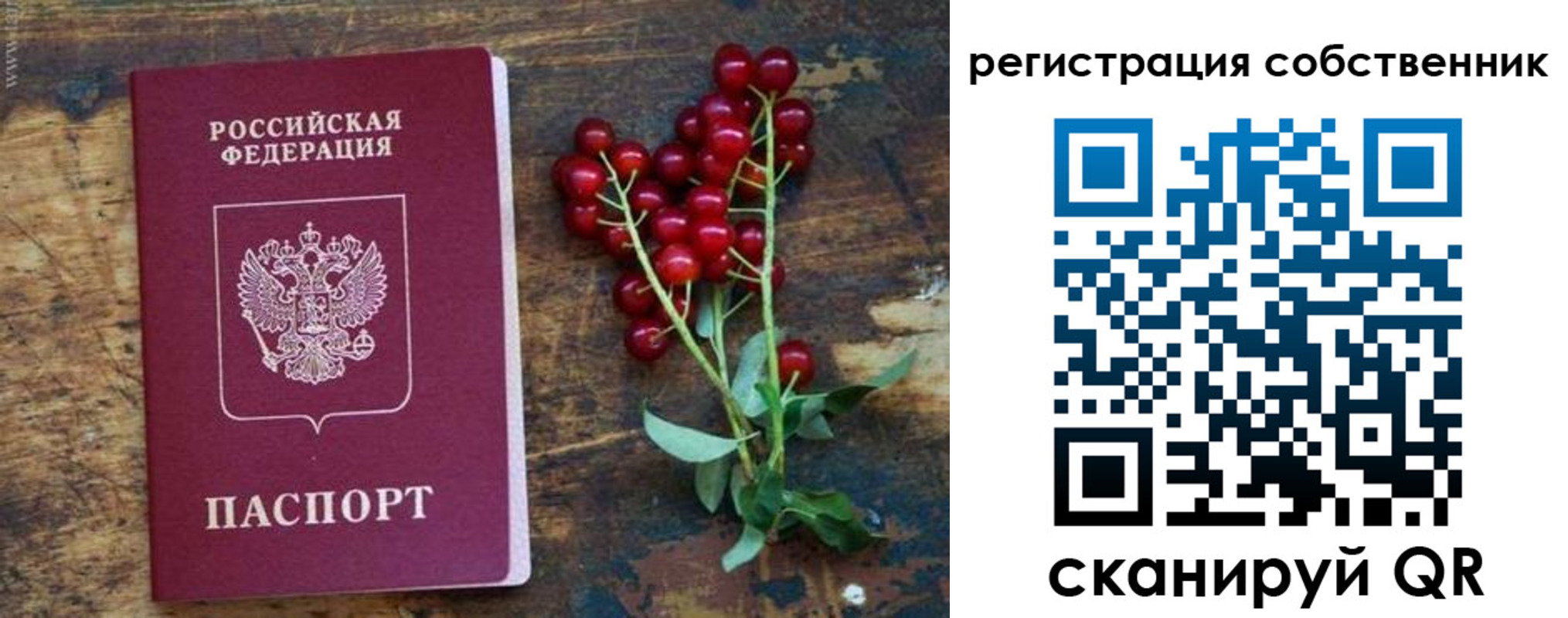 регистрация для дет. сада в Елизово